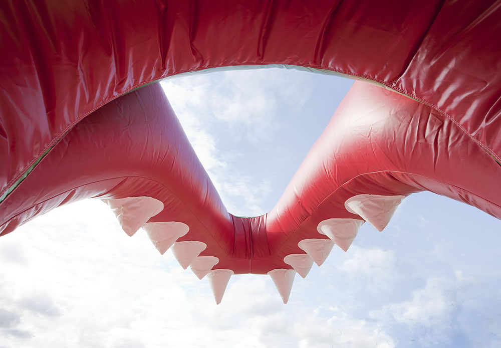 Multiplay Krokodil – Bild 3